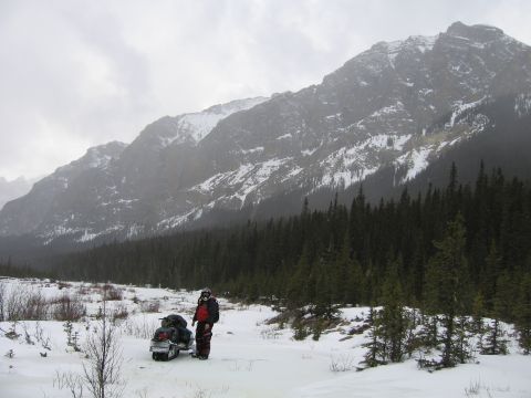 1999 Arctic Cat Powder Special 600 EFI “Pickle”