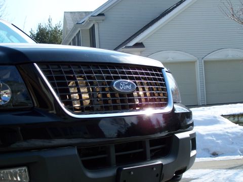 2004 Ford Expedition - Close-up of the front grille on a black Ford Expedition, with a house and snow in the background.