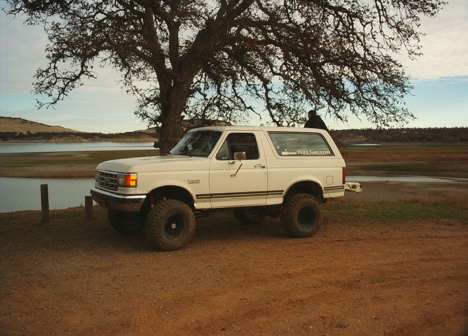 White lifted Ford Bronco parked by a lake under a large tree. A person is visible sitting on a branch