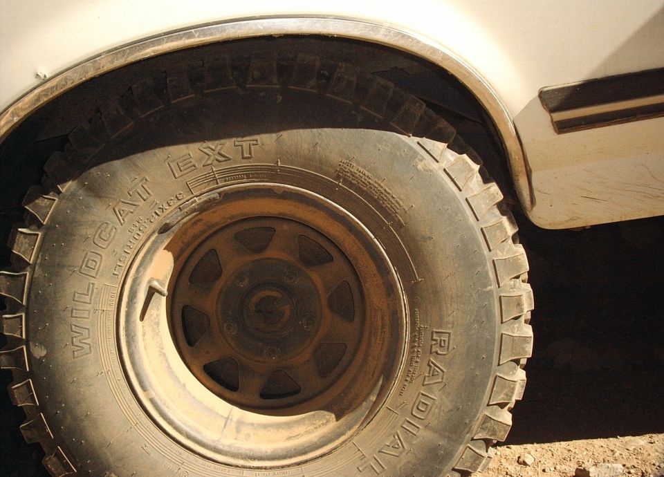 Dusty Wildcat EXT Radial 33-inch tire on steel wheel under white fender of a vehicle