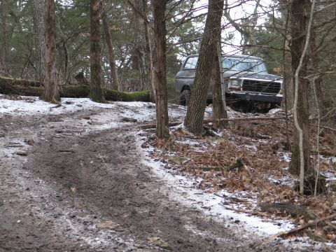 1995 Ford Bronco - A vintage pickup truck is partially visible on a wooded trail with snow and mud.