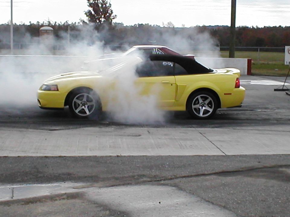 2003 Ford Mustang “yelsvt03cobra”