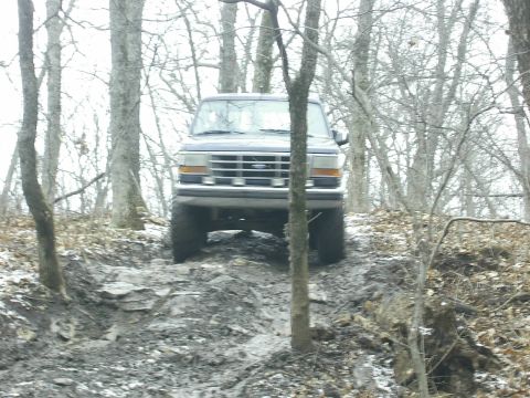 1978 Ford Bronco - A dark-colored Ford Bronco navigates a challenging, off-road path through a forest.