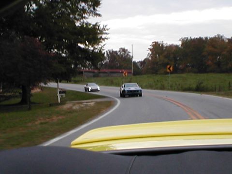 2003 Ford Mustang photo
