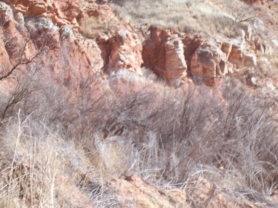 Rocky hillside with dry brush and sparse vegetation