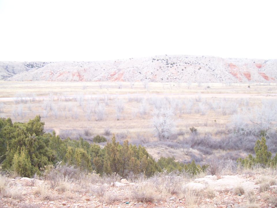 Arid landscape with rolling hills in the background and dry brush and juniper trees in the foreground