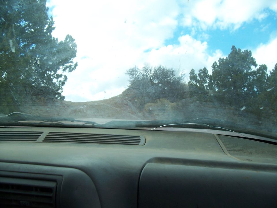 Interior view from a dusty vehicle looking out at a rural landscape with trees and a cloudy sky