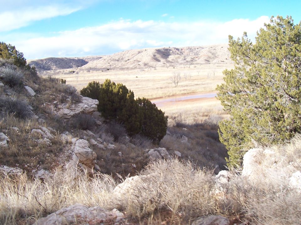 Arid landscape with dry grass, rocks, and distant hills under a partly cloudy sky
