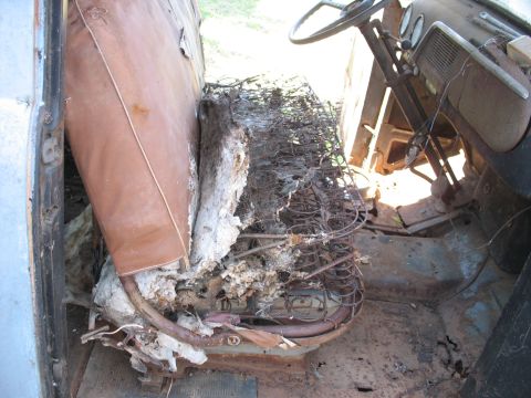 1952 Ford Panel Van - Interior of a derelict cab shot through the open driver's door, showing a bench seat stripped to rusted springs, burlap and rotted cotton p…