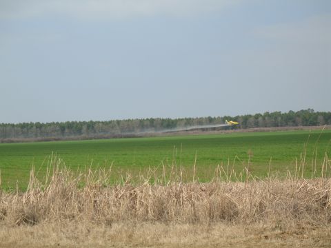 1993 Ford Bronco - more crop dusting