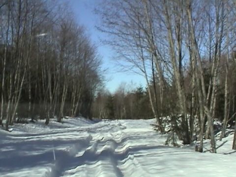 2005 Jeep Wrangler - working our way down the road, If you fell off the packed snow it would most likely bury you.