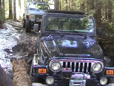 2005 Jeep Wrangler - Front view of a dark Jeep Wrangler TJ on a muddy, snow-patched forest trail, fitted with a winch and steel bumper below the seven-slot gril…