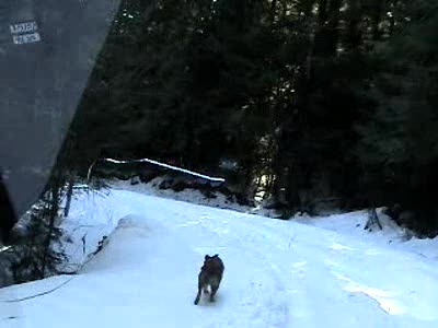 2005 Jeep Wrangler - Trail Inspector loving it here, can you tell?