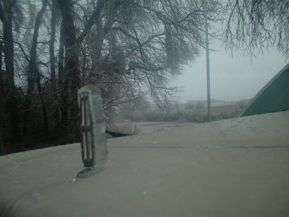 Lincoln hood ornament covered in ice, with trees and a cloudy sky in the background