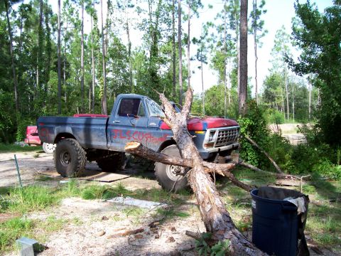 1978 Ford F-250 photo