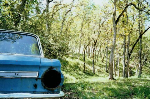 1965 Ford Falcon photo