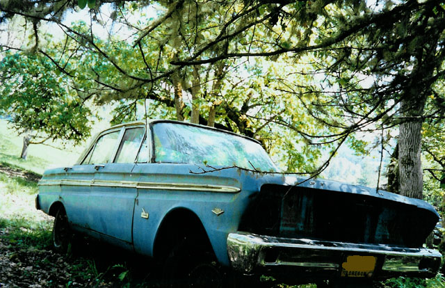 Faded blue Ford Falcon sedan parked under trees, rear three-quarter view