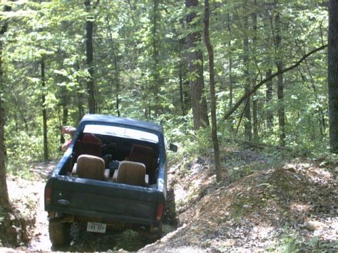 1979 Ford Bronco - A dark blue 1979 Ford Bronco navigates a wooded trail, its rear end angled towards the camera.
