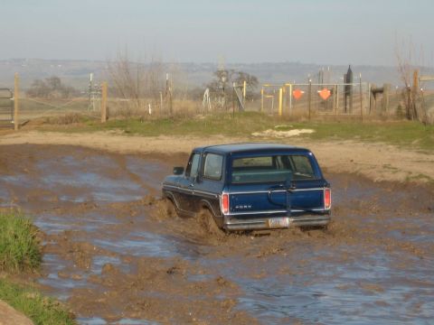 1978 Ford Bronco photo