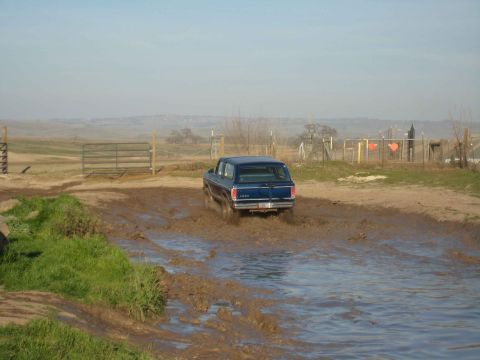 1978 Ford Bronco photo