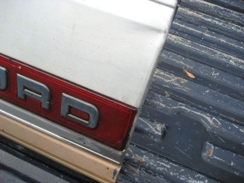 1981 Ford Bronco - Close-up of a Ford tailgate, showing the red taillight and chrome trim.