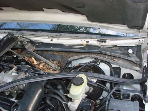 1997 Mercury Grand Marquis - Thought I would clean out this area just in case it was causing the leak... It wasn't. But glad I did it anyway.