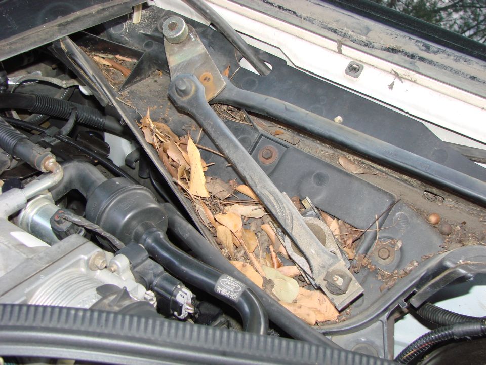 That's 11 years worth of leaves and debris.  I'm ashamed.