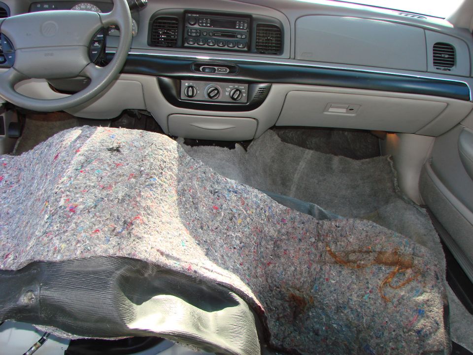 Carpet coming out! Yech, it's still damp.