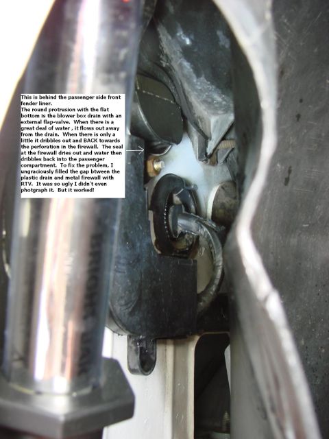 1997 Mercury Grand Marquis - Here is the culprit. It took me hours to figure this out. It only leaks when a little bit of water is flowing out of the blower box. Read t…