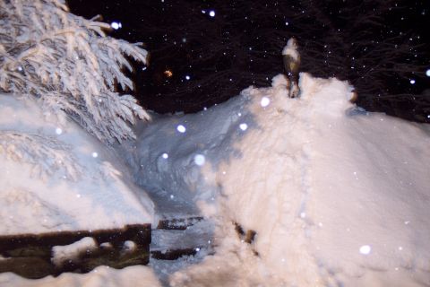 2001 Ford Crown Victoria - A winter scene shows a snow-covered path with steps leading upwards, illuminated by a lamp post, as snowflakes fall.