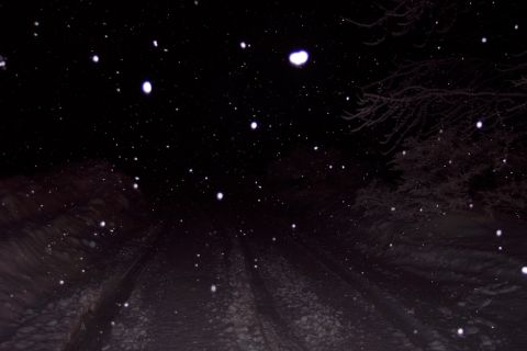 2001 Ford Crown Victoria - Snow is falling at night, obscuring the view of a dark, wooded landscape.