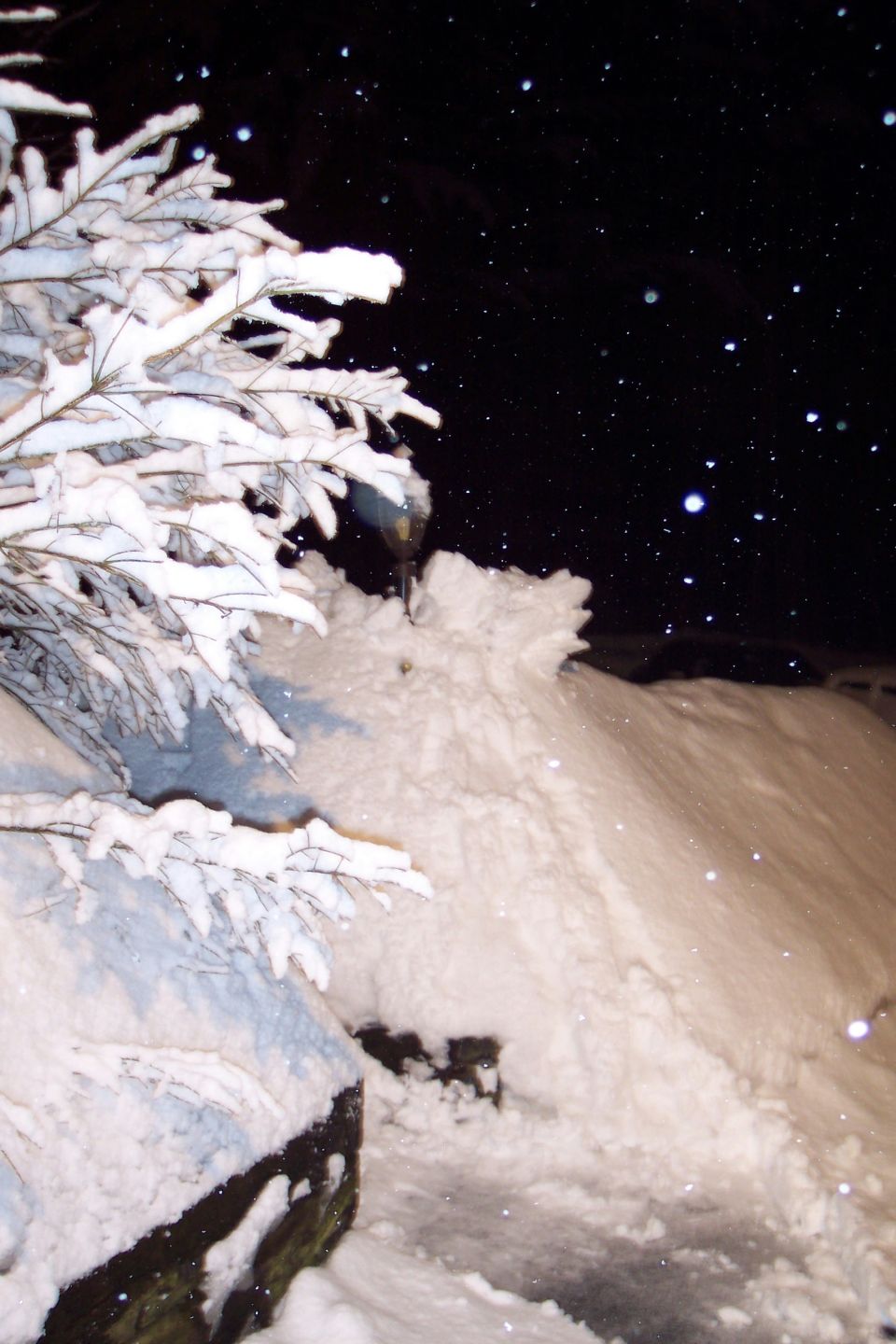 Snowy branches overhang a large snowdrift under a dark, starry sky