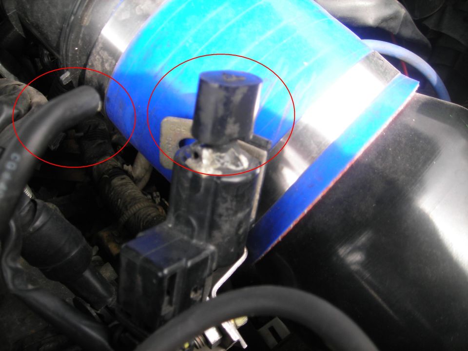 Close-up of a black sensor attached to a blue silicone hose in an engine bay