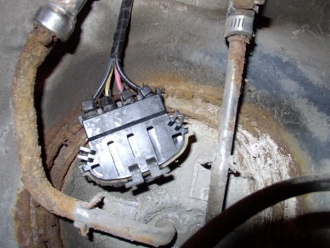 1990 Lincoln Town Car - New connector click satisfyingly into place and that muther fired right up ! The $6.00 fix !!!!!!!!! You gotta love it ! I'm going to repla…