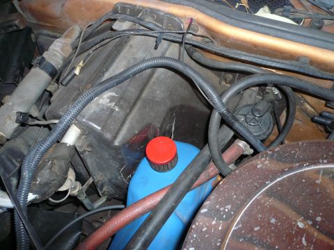 1975 Ford Ranchero - Close-up view of engine bay components including a blue fluid reservoir with a red cap, various hoses, and wiring.