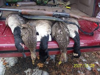 1993 Ford Bronco - A hunting trip yielded three geese, displayed with a shotgun on the back of a vehicle.