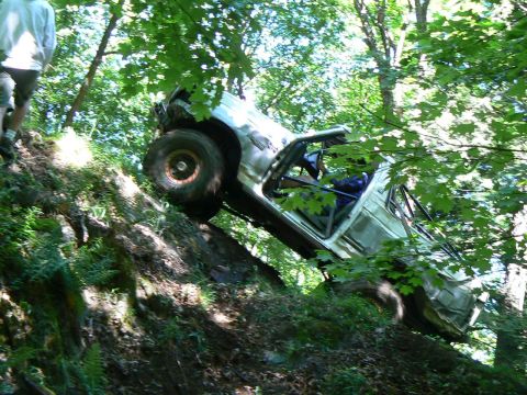 1995 Ford Bronco - An off-road vehicle is stuck on a steep, wooded hill, partially hidden by foliage.