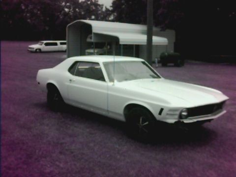 1970 Ford Mustang - My 70 after paint...