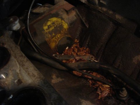 1998 Lincoln Town Car - Debris fills the engine bay of a vehicle, obscuring most components.