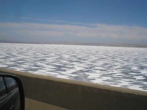 1990 Ford Bronco - really frozen