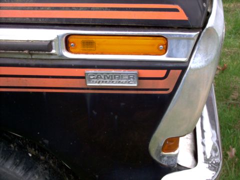 1979 Ford F-250 photo