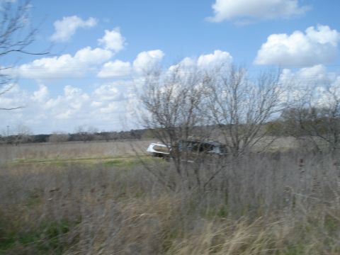 2008 International School Bus - A bus with dark windows is partially obscured by dry brush in a field under a cloudy sky.