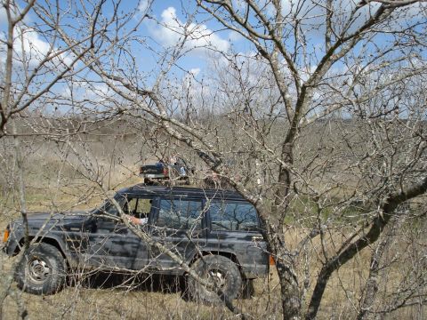 2008 International School Bus - A black SUV navigates a wooded area with another vehicle following closely behind.