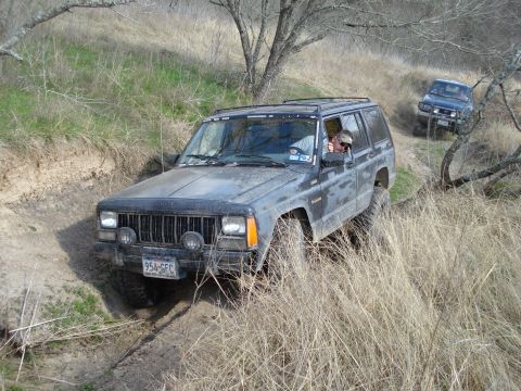 2008 International School Bus - Two Jeep Cherokees navigate a rough, grassy trail with dry brush and trees.