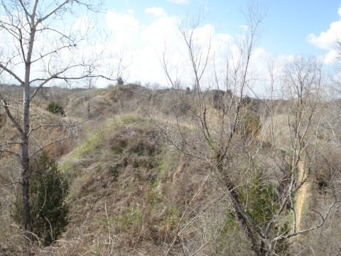2008 International School Bus - A desolate landscape with rolling hills and sparse vegetation under a partly cloudy sky.