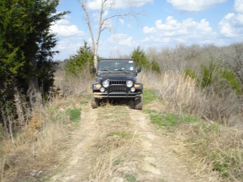 2008 International School Bus - A black Jeep Wrangler drives down a dirt path through a wooded area on a cloudy day.