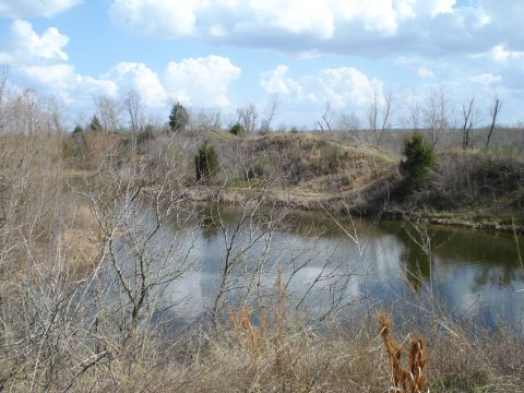 2008 International School Bus - A body of water is surrounded by dry brush and trees under a partly cloudy sky.