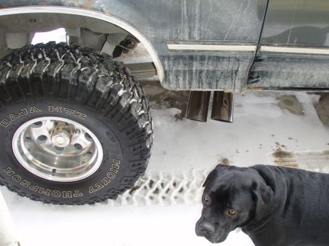 1992 Ford Bronco - top view, to show how far the tips stick out. my dog wanted to be in the picture too...