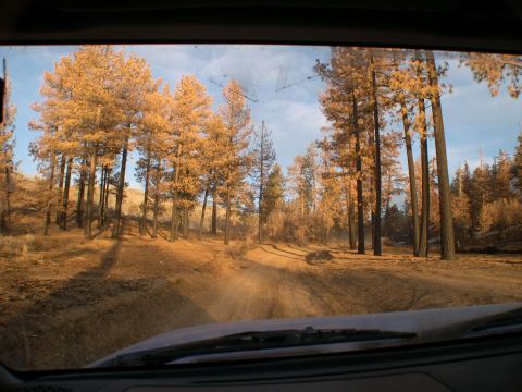 2007 Toyota FJ Cruiser - Ended up taking the main trail to Fawnskin. Where almost all the trails were closed to Big Bear. Ran 3n16 to Holcomb Valley Through some fa…