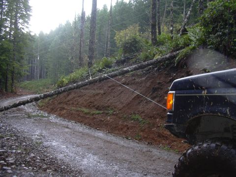 1991 Ford Bronco - A dark blue Ford Bronco is parked on a dirt road with a fallen tree blocking the path.